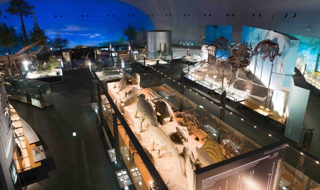 Fukui Dinosaur Museum Ticket
