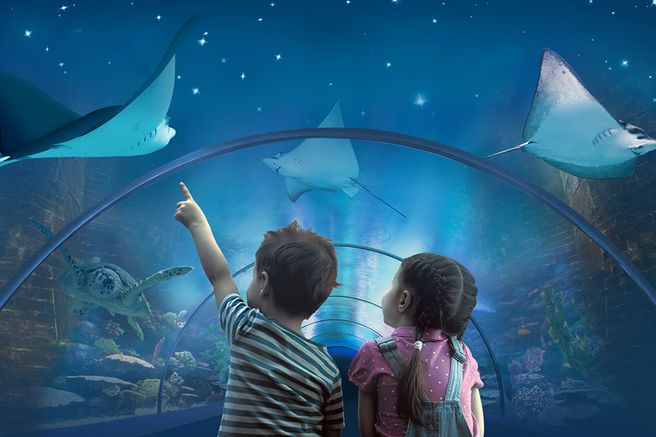 Tuscany Livorno Aquarium Ticket