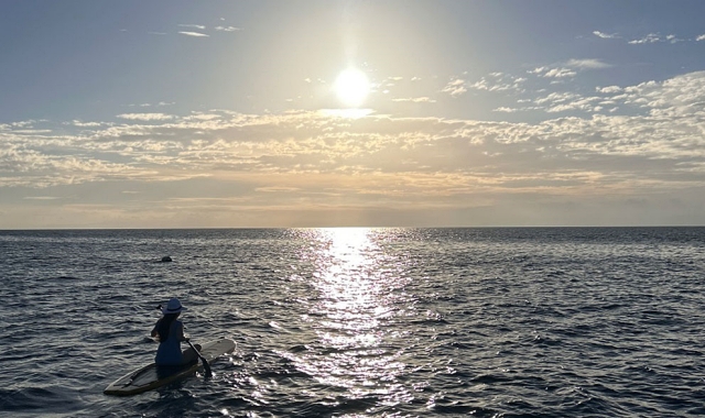 [해적호핑] 세부 해적선 단독 호핑 투어 - 씨제인 / 파울리나