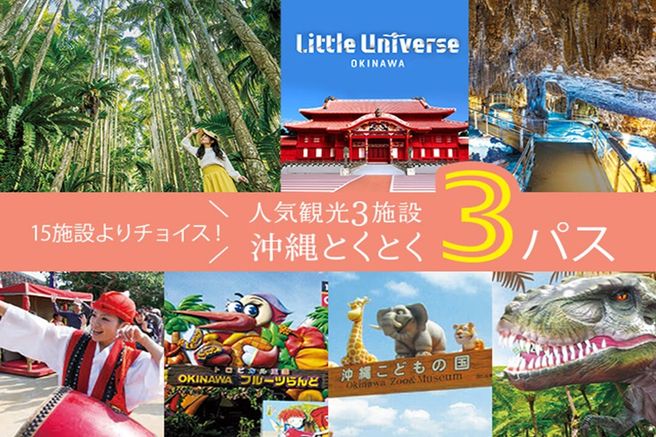 沖縄 とくとく 3 パス