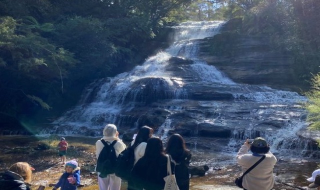 [놀러와시드니] 블루마운틴과 오픈런*페더데일 동물원 & 시크릿 포인트 소그룹 투어