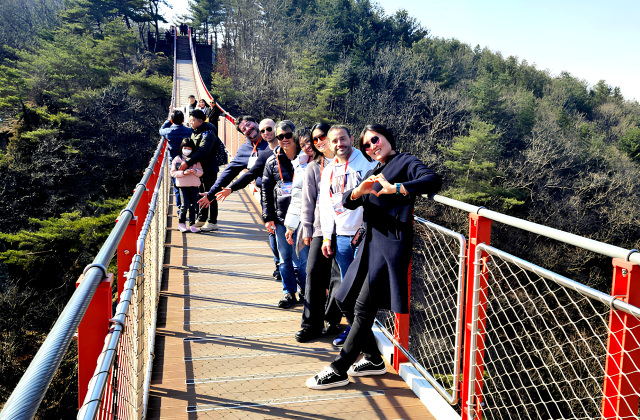 서울 출발: 외국인 친구와 함께 떠나는 DMZ & 감악산 출렁다리 투어