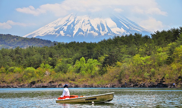 [독점할인] 도쿄 출발: 후지산 하이라이트 포토 스팟 일일 투어 (A코스)