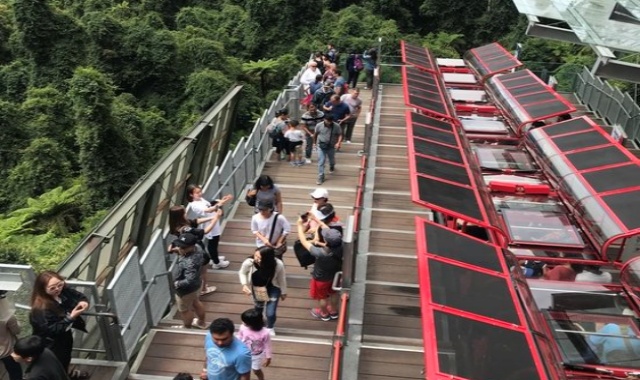 [놀러와시드니] 블루마운틴과 오픈런*페더데일 동물원 & 시크릿 포인트 소그룹 투어