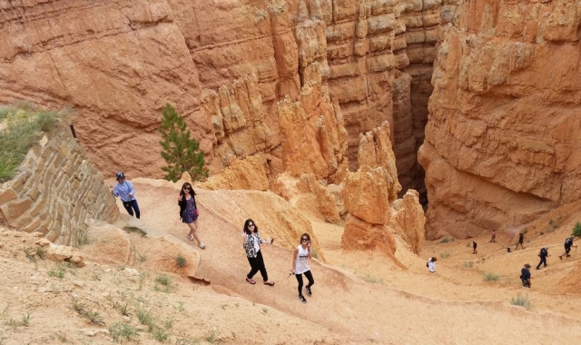 [투어가자] [1박2일 / 캐빈하우스 숙박] 그랜드캐년 6대 캐년 완전정복 투어