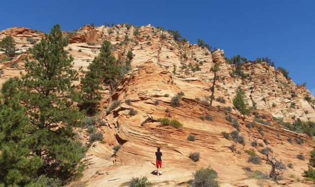 [투어가자] [1박2일 / 캐빈하우스 숙박] 그랜드캐년 6대 캐년 완전정복 투어