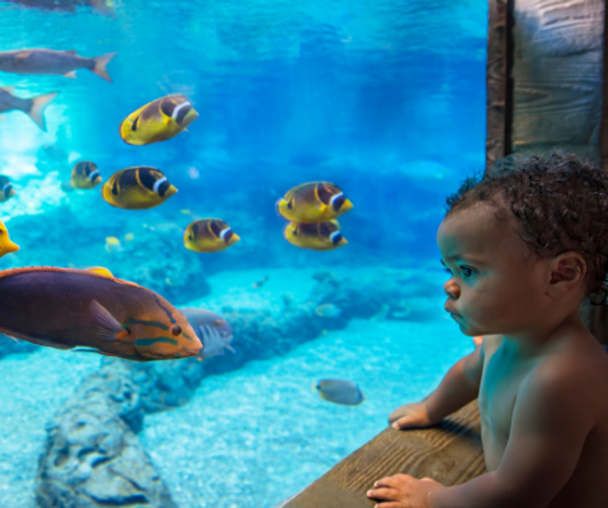 activity_detail_image