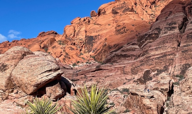 [투어가자] [당일투어] VIP 레드락캐년 & 캠프파이어와 BBQ 그리고 캐년의 별밤 투어