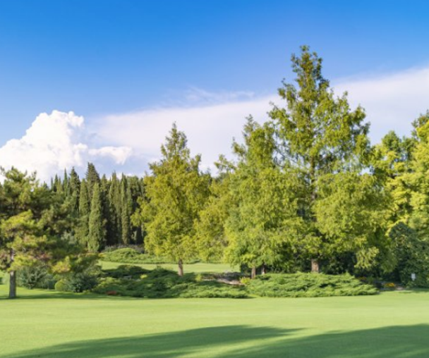 activity_detail_image