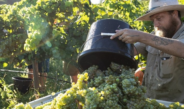 헌터밸리 MUST VISIT TOP3 와이너리 투어