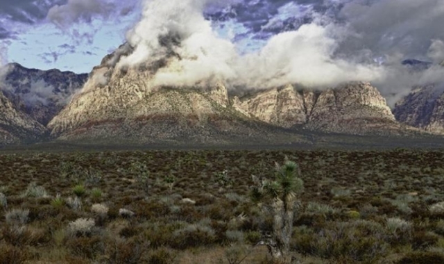 [투어가자] [당일투어] 레드락캐년 & 세븐매직마운틴 & 웰컴사인 투어