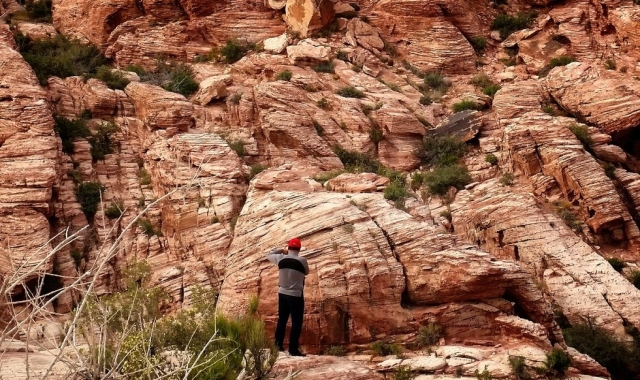 [투어가자] [당일투어] 레드락캐년 & 세븐매직마운틴 & 웰컴사인 투어