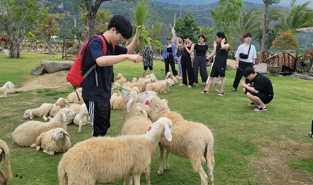 Phan Rang: Desert Jeep Private Tour from Nha Trang