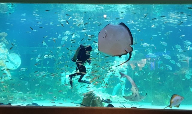 activity_detail_image