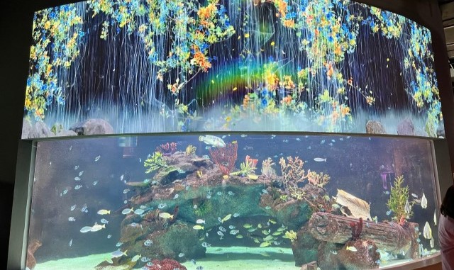 activity_detail_image