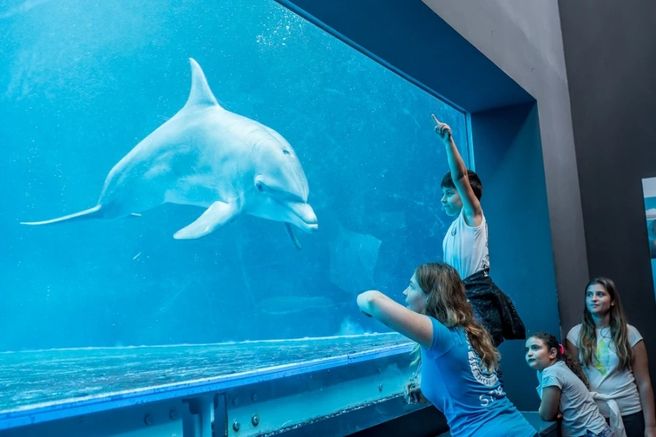 Genoa Aquarium & City of Children and Youth Combo Ticket