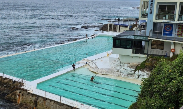 [마이시드니] 최대 10명 시드니 공항픽업 + 동부해안 5시간 소그룹 투어