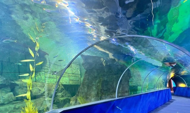 activity_detail_image