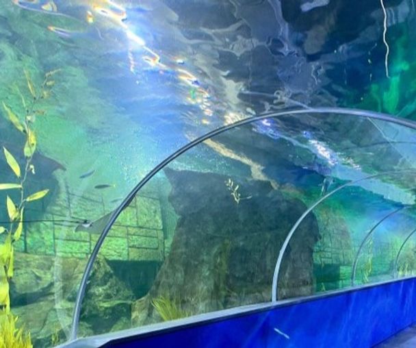 activity_detail_image