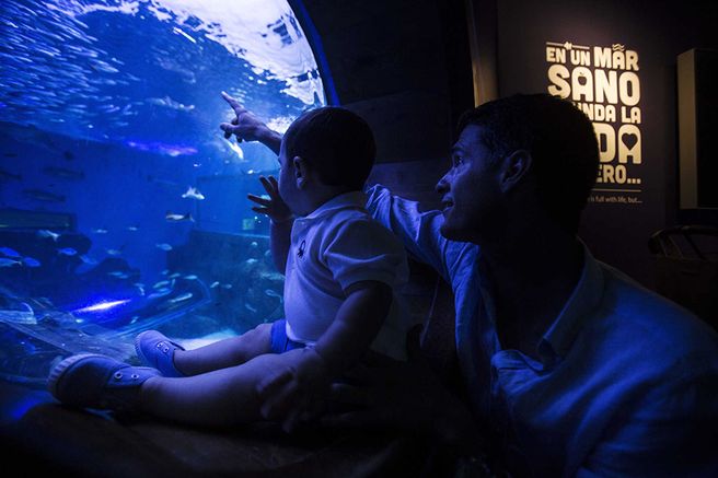 Seville Aquarium Admission Ticket