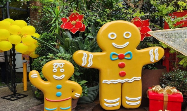 [마이시드니] 시드니 공항 픽업 + 동부 해안 5시간 단독 투어