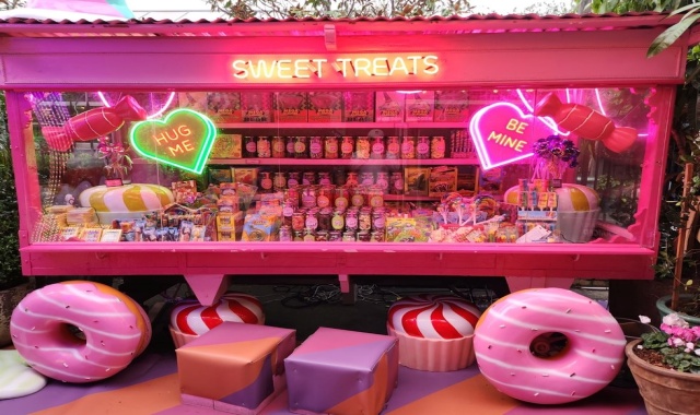 [마이시드니] 시드니 공항 픽업 + 동부 해안 5시간 단독 투어