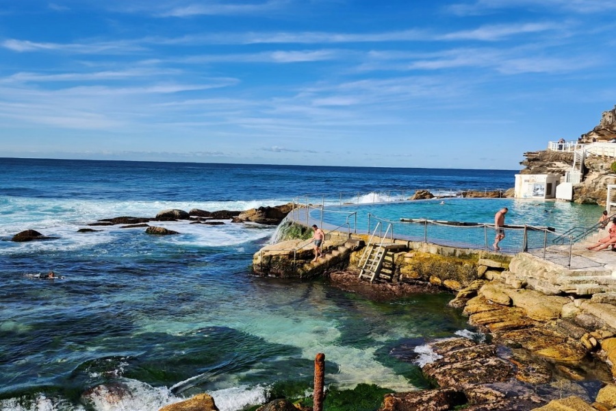 [마이시드니] 시드니 공항 픽업 + 동부 해안 5시간 단독 투어