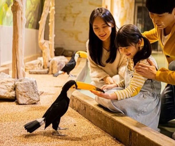 activity_detail_image