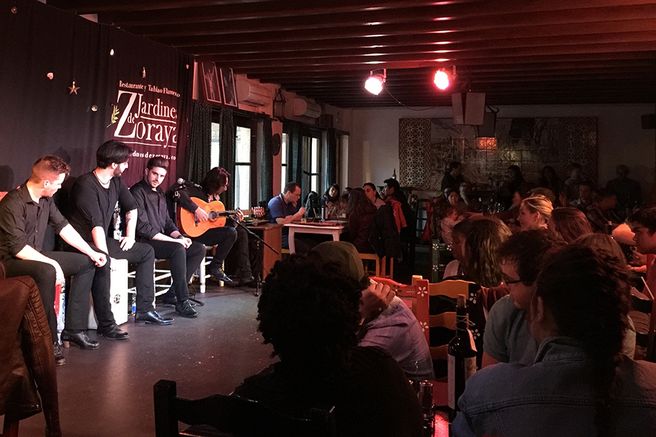 Granada: Flamenco Show Ticket at the Jardines de Zoraya