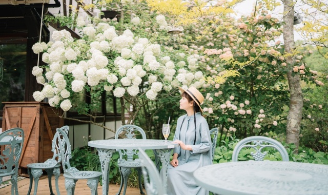 activity_detail_image