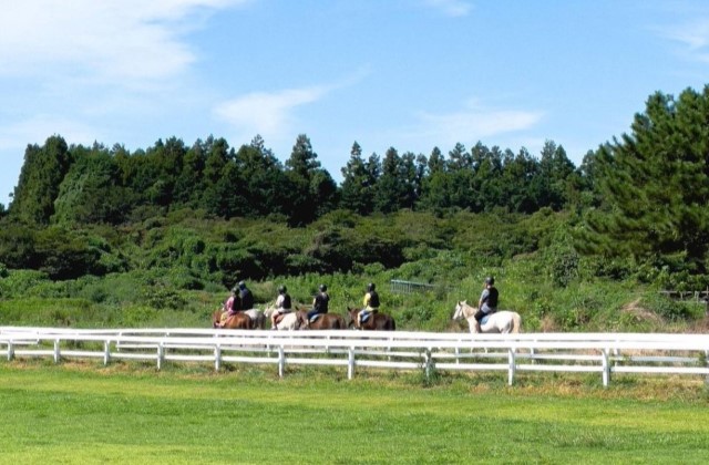 제주 쿰다패스 72시간 / 30일