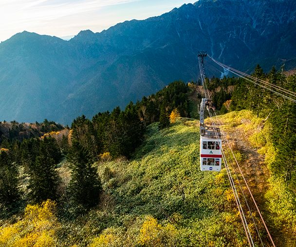 activity_detail_image