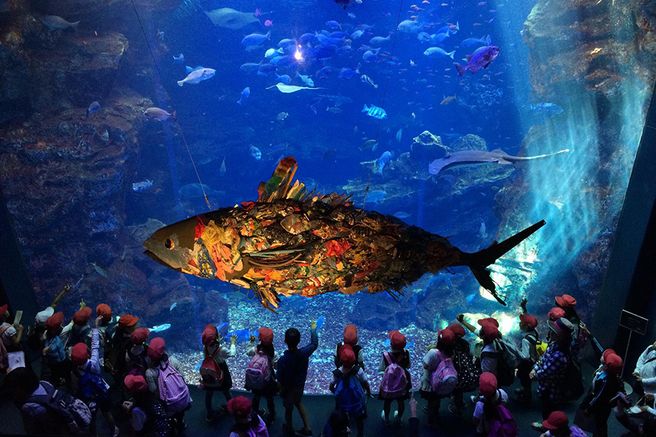 Kyoto Aquarium Admission Ticket