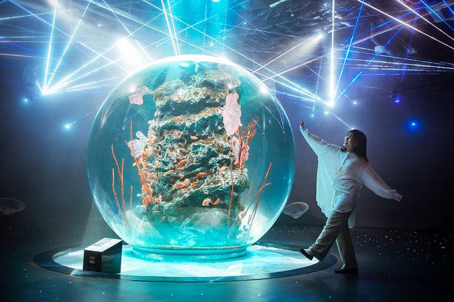 劇場型アクアリウム(神戸)「 アトア átoa 」電子チケット