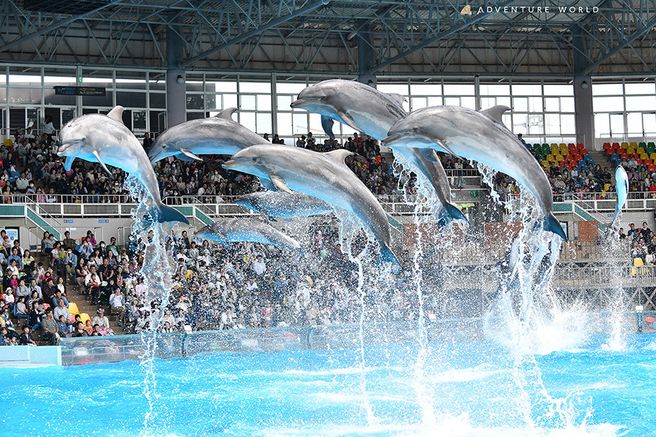 Wakayama Adventure World Ticket