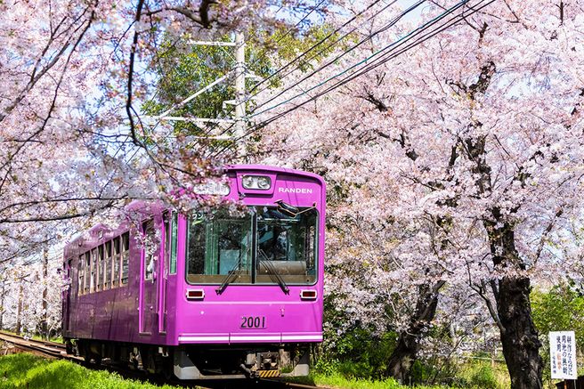 Kyoto Randen Train One-Day Free Pass (Arashiyama Main Line + Kitano Line)