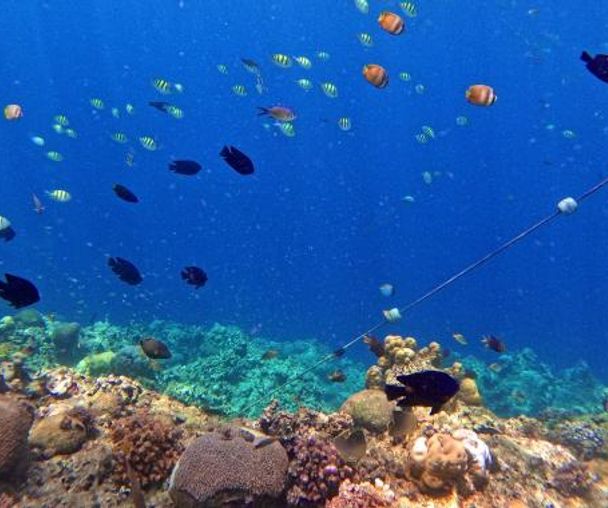 activity_detail_image