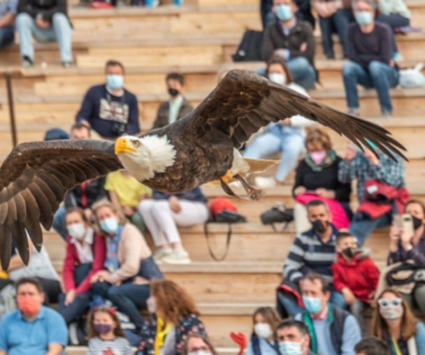 activity_detail_image