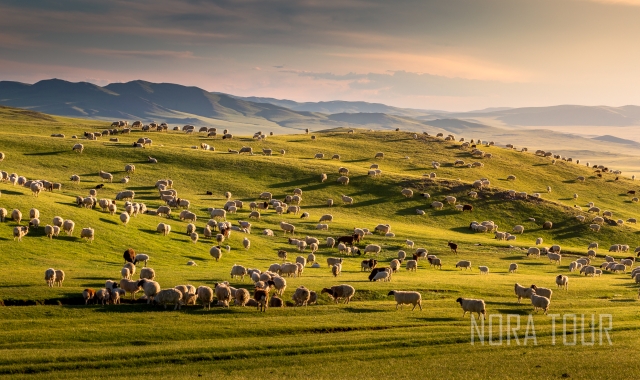 [노라투어] [2박3일] 힐링코스! 쳉헤르 온천&미니사막, 짧고 굵게 즐기는 몽골 여행