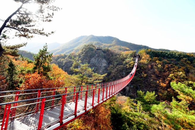 ソウル発:非武装地帯(DMZ)吊り橋・ボートクルーズ 日帰りツアー