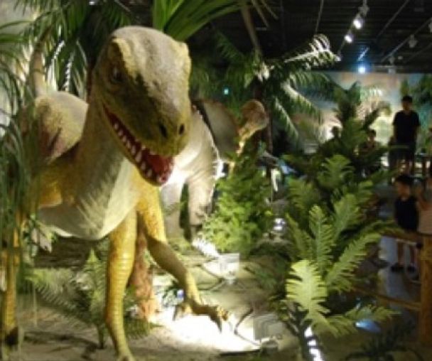 activity_detail_image