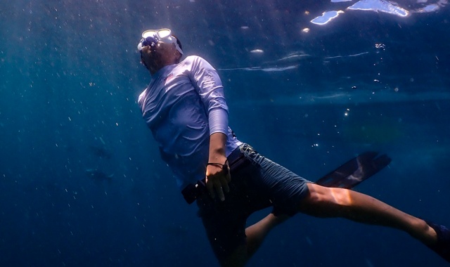 Bohol: Napaling Sardine Run Snorkeling Private Tour (with GoPro Underwater Filming)