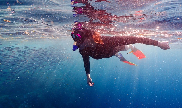 Bohol: Napaling Sardine Run Snorkeling Private Tour (with GoPro Underwater Filming)