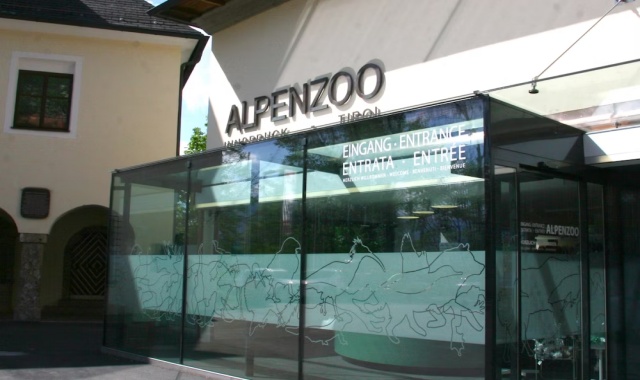 activity_detail_image