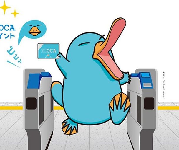 activity_detail_image