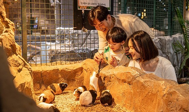 activity_detail_image