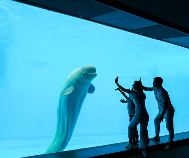 activity_detail_image