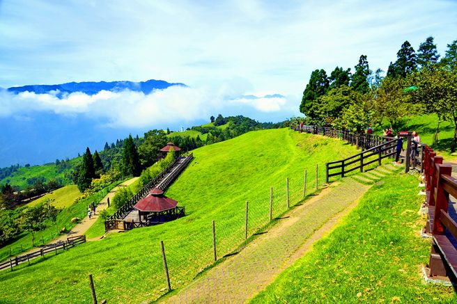 Nantou Cingjing Farm Ticket