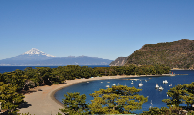 Tokai Bus Pass (2-Day or 3-Day)