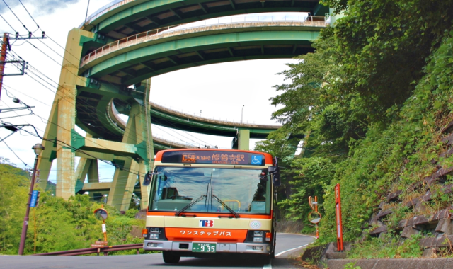 Tokai Bus Pass (2-Day or 3-Day)